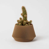 Cache-pot québécois en impression 3D, respectueux de l'environnement
